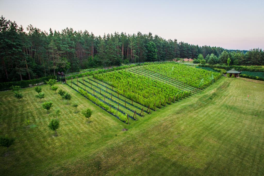 Warminska Winnica Барчево Экстерьер фото